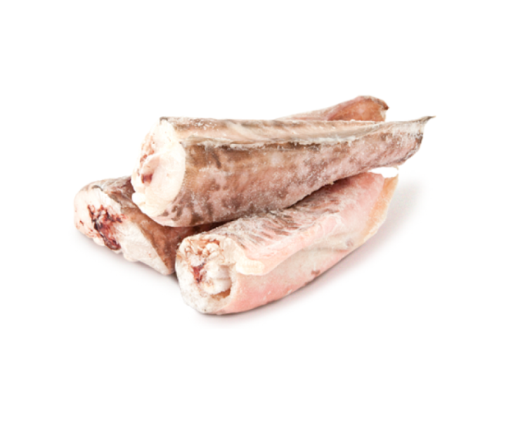 Рыба Конгрио Фото И Описание Цена – Telegraph